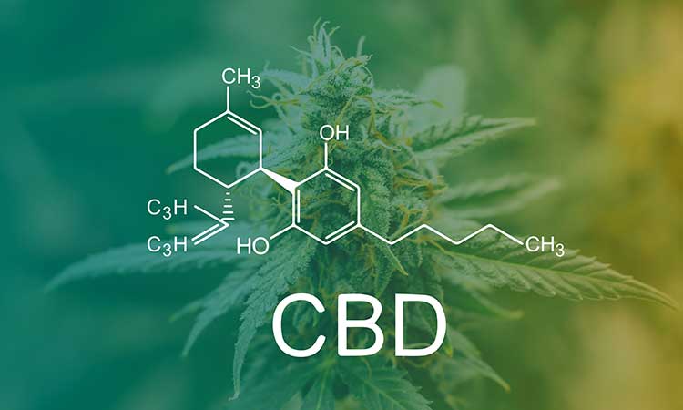 Is CBD For You?