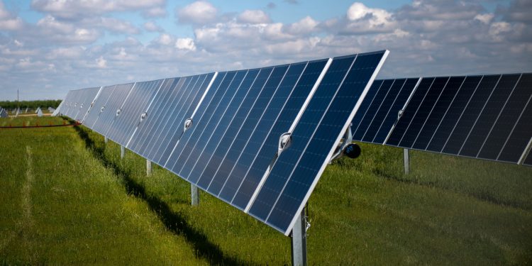 10 Fast Facts About Solar Energy in South Carolina