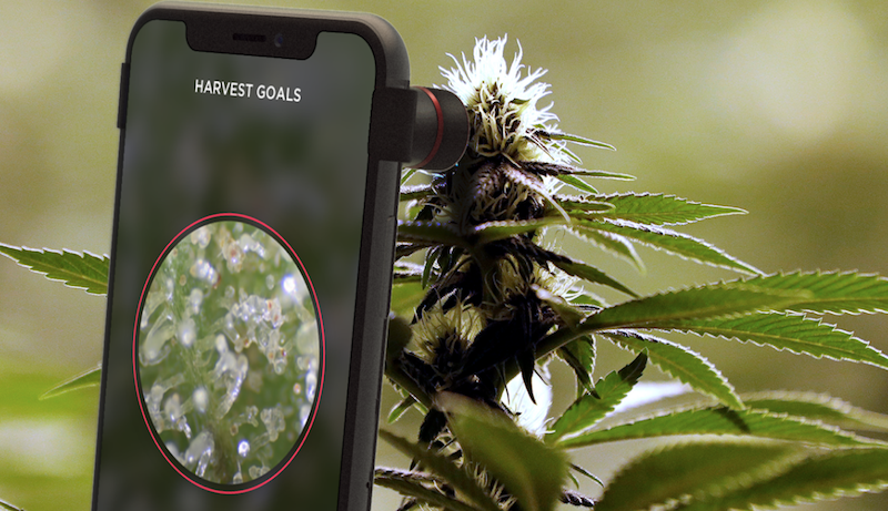 Smart Grow Apps for Growing Cannabis