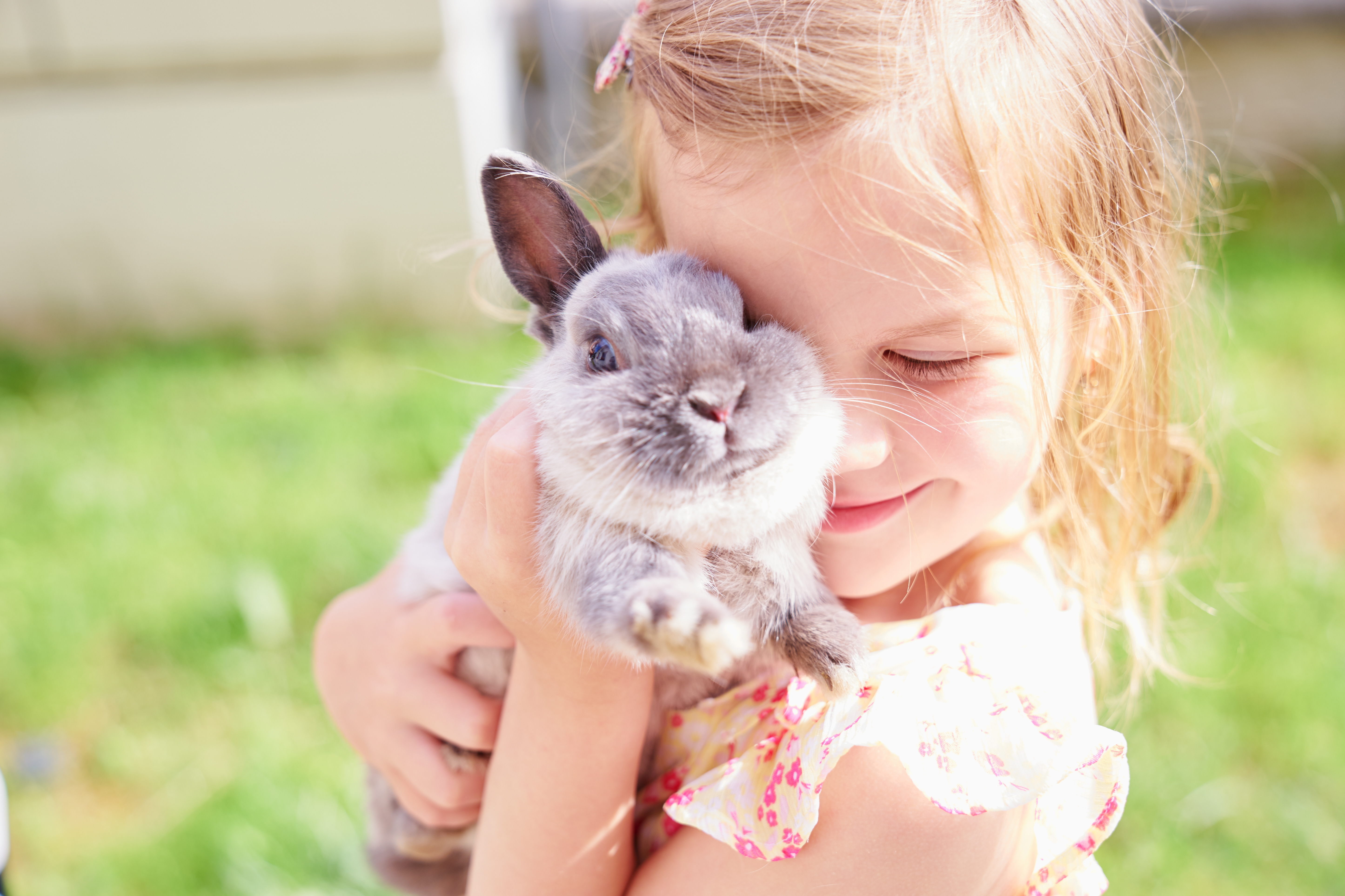 A girl and a rabbit