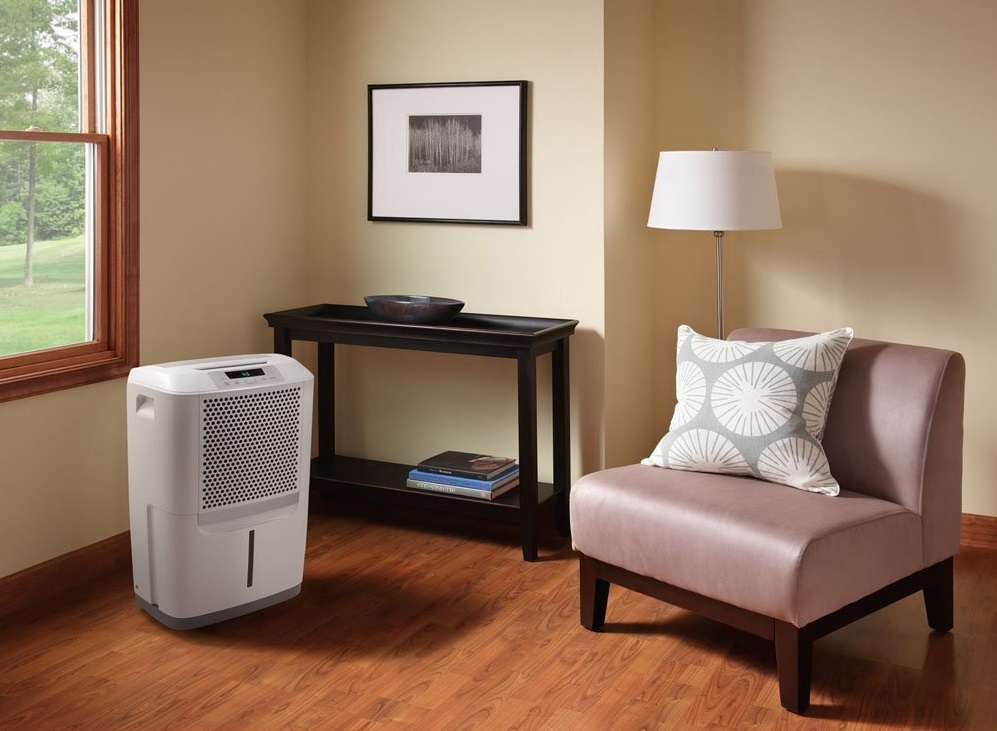 Where Is The Best Place To Put A Dehumidifier In A House