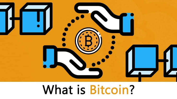 Guidelines for Choosing Bitcoin Investment Software!
