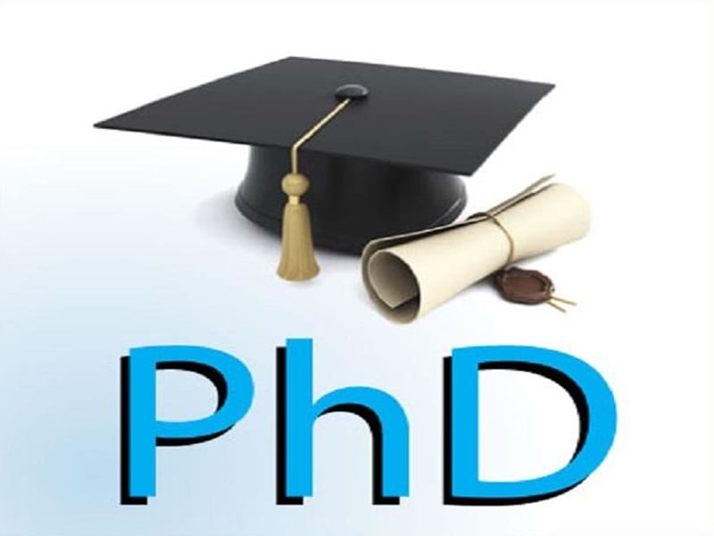 Everything You Need to Know About a PhD