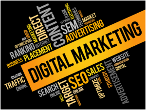 Find Out What a Digital Marketing Agency Can Do for You | Primal