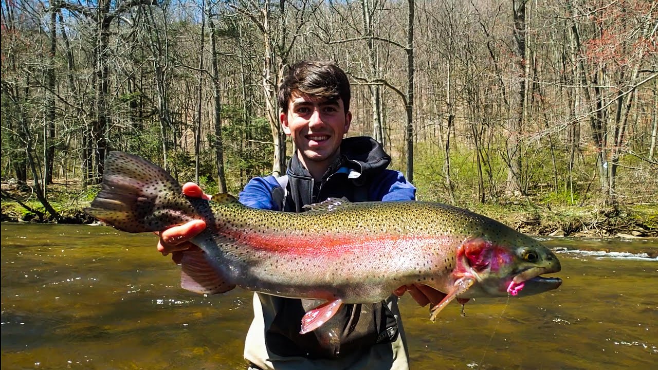 How Do You Catch a Big Rainbow Trout?