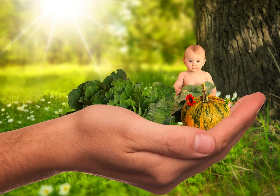 https://pixabay.com/photos/child-infant-vegetables-fruit-2002083/