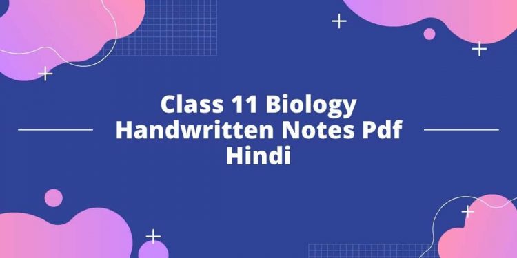 How to get good score in Class 11 Biology in Hindi ?