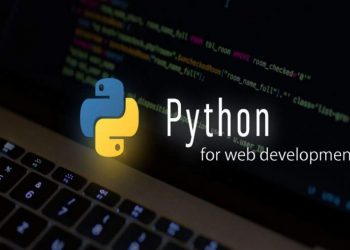 Python for web development: Pros and Cons