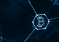 How has Bitcoin promised to transform the Software Industry in India?