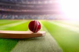 The 5 Most Trusted Cricket Betting Sites in India 2022