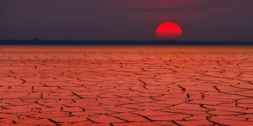 The Collapse of the World Order