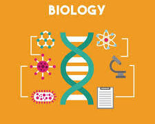 How to write a good biology research paper?