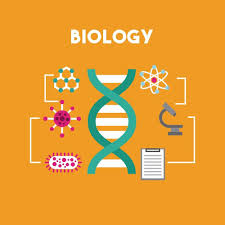 How to write a good biology research paper?