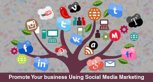 How To Promote Your Business Via Social Media Platforms