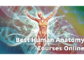 Finding the Ideal Self-Paced Anatomy and Physiology Course Online