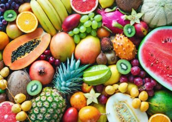 Exotic Fruits: A Journey of Discovery