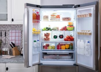 Finding the perfect refrigerator for your Indian kitchen