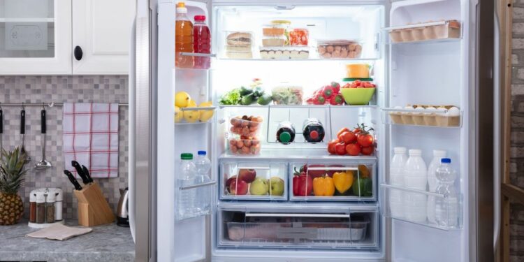 Finding the perfect refrigerator for your Indian kitchen